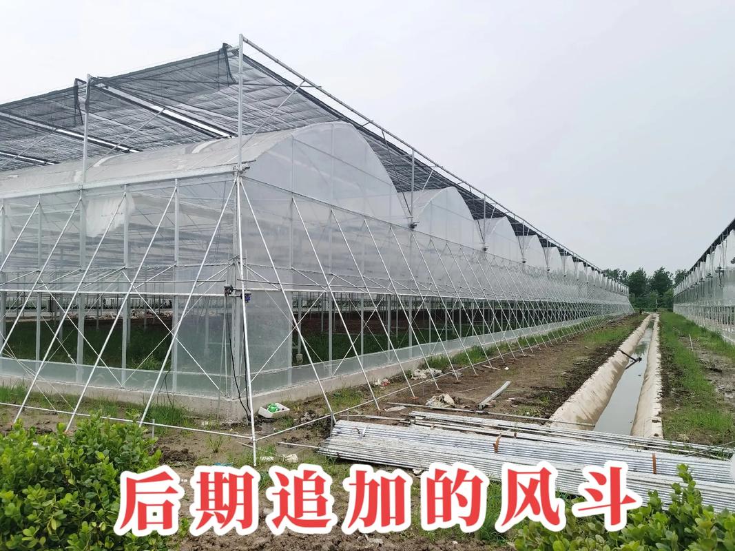 探訪京東農業科技園 風斗連棟薄膜大棚如何以技術創新賦能現代農業